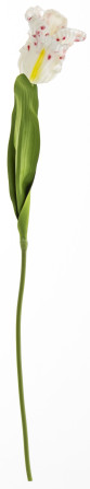 detail Umelý biely tulipán s farebnými detailmi GD DESIGN