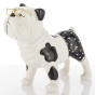 náhled Bielo-čierny pes s okuliarmi GD DESIGN