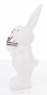 náhled Dekorace králík s vajíčkem GD DESIGN