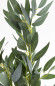 náhled Dekoračná vetvička s olivovými listami GD DESIGN