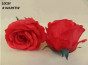 náhled Červený květ růže 1 ks GD DESIGN