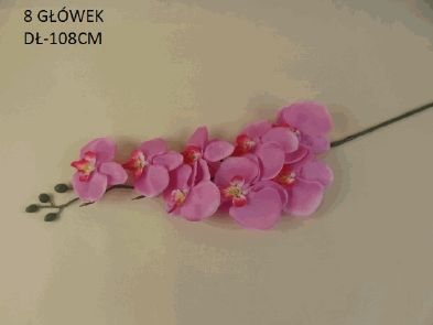 Tmavě růžová orchidea