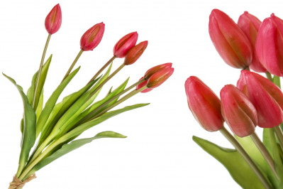 Kytica červených tulipánov