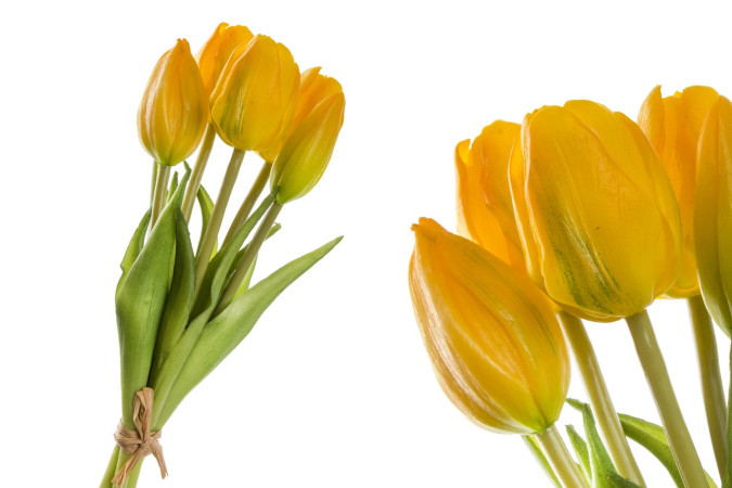 detail Kytička žltých tulipánov GD DESIGN