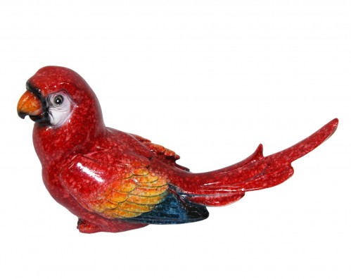 Soška papagája