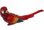 náhled Červený papagáj  GD DESIGN