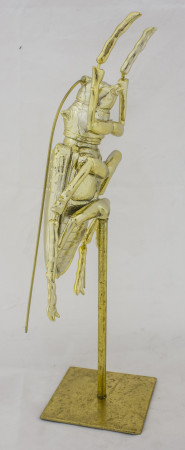 detail Zlatý chrobák na stojane  GD DESIGN