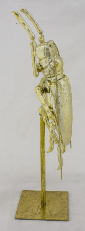 detail Zlatý chrobák na stojane  GD DESIGN