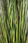 náhled Umelý bambus v kvetináči GD DESIGN