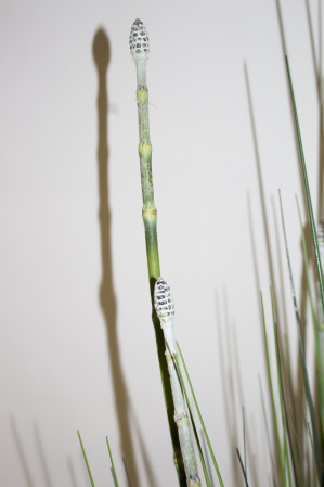 detail Umelý bambus v kvetináči GD DESIGN