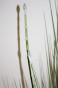 náhled Umelý bambus v kvetináči GD DESIGN