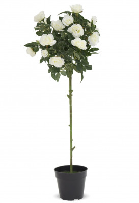 Umelá rastlina bielej ruže