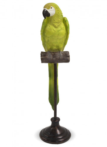 Zelený papagáj na stojane