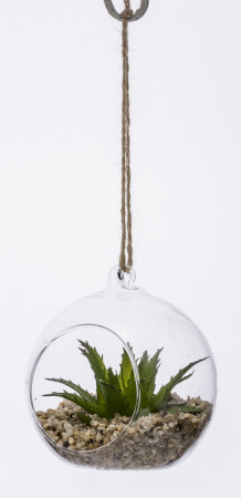 detail Okrasná rostlina ve skle GD DESIGN