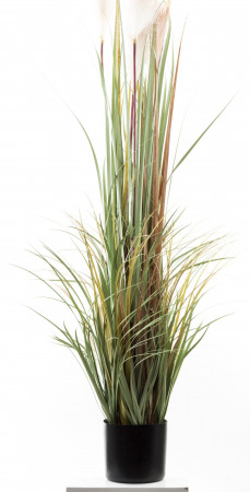 detail Umelá rastlina pampová tráva 150 cm GD DESIGN
