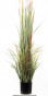 náhled Umelá rastlina pampová tráva 150 cm GD DESIGN