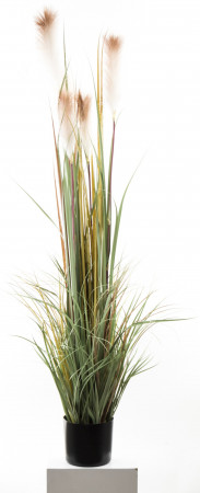 detail Umelá rastlina pampová tráva 150 cm GD DESIGN