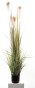náhled Umelá rastlina pampová tráva 150 cm GD DESIGN