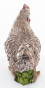 náhled Figúrka sliepočka v tráve 10 cm GD DESIGN