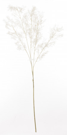 detail Dekoračná vetvička umelej bielej trávy GD DESIGN