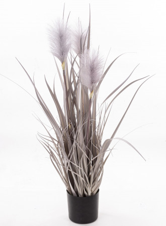 detail Dekoratívna páperová vodná tráva v kvetináči GD DESIGN