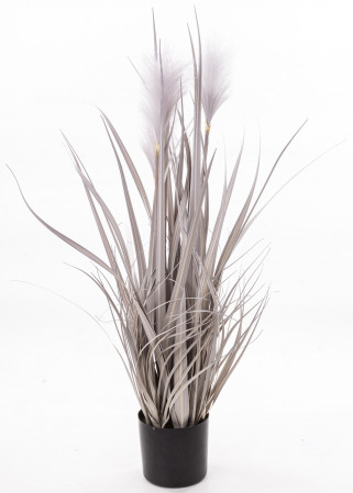 detail Dekoratívna páperová vodná tráva v kvetináči GD DESIGN