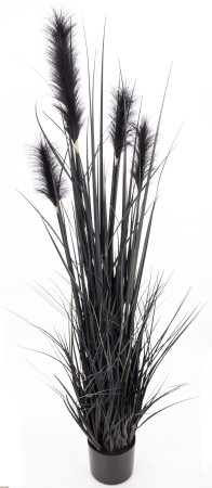 detail Dekoratívna páperová tráva v kvetináči GD DESIGN