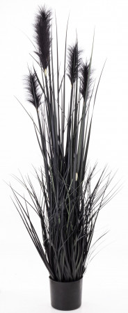 detail Dekoratívna páperová tráva v kvetináči GD DESIGN