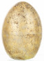 náhled Veľkonočné kropenaté zlaté vajcia GD DESIGN