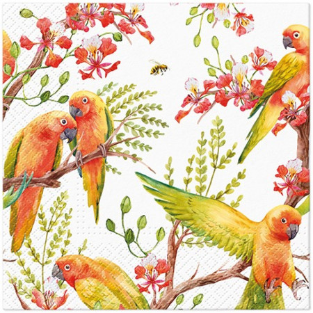 detail Servítky s farebnými papagájmi GD DESIGN