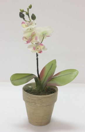 detail Orchidea v květináči krém GD DESIGN