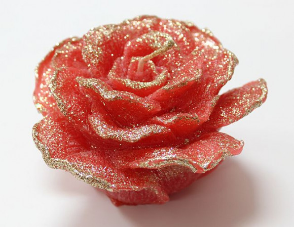 detail Červený květ růže Elizabeth GD DESIGN